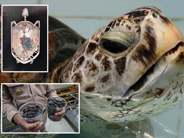 She Could Barely Swim…