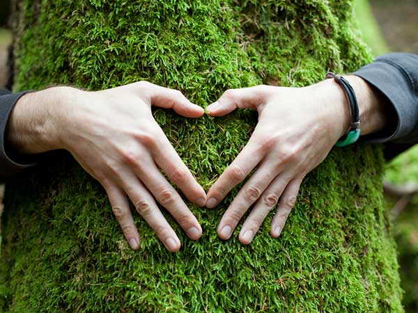 8. The Bigger Picture: