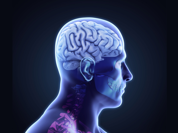 Probiotics Can Be Healthy For Your Brain