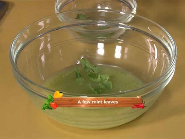 How to prepare minty mango delight How to prepare minty mango delight
