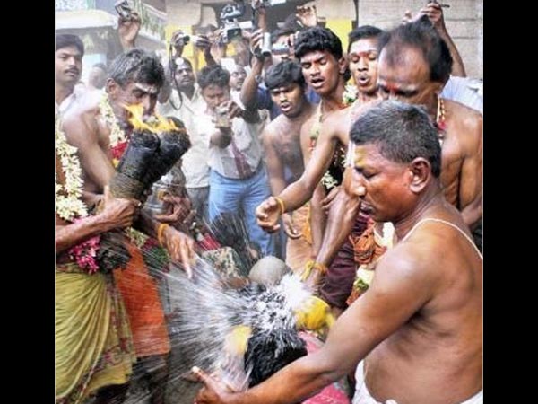Smashing Coconuts On The Head
