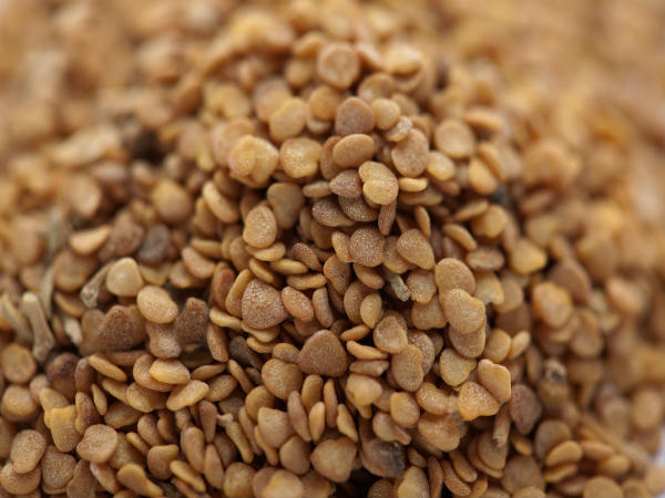 ashwagandha benefits