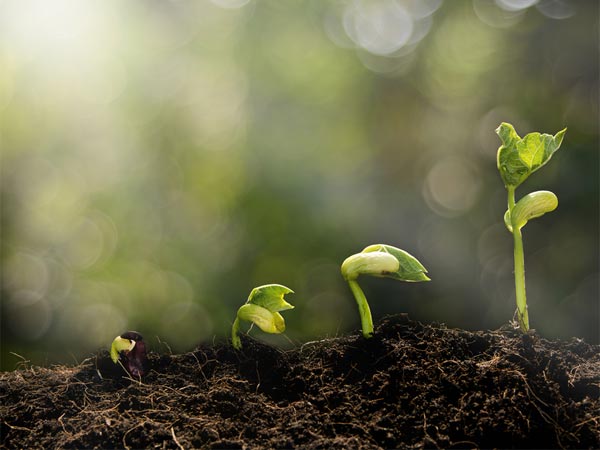 sun and moon what they indicate in astrology