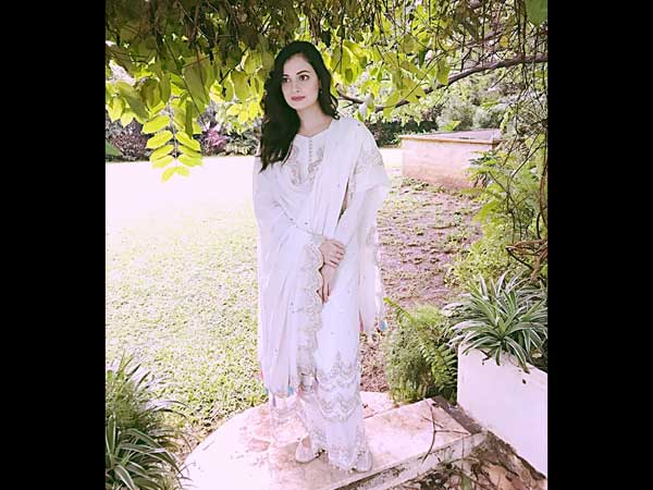 dia mirza latest outfits