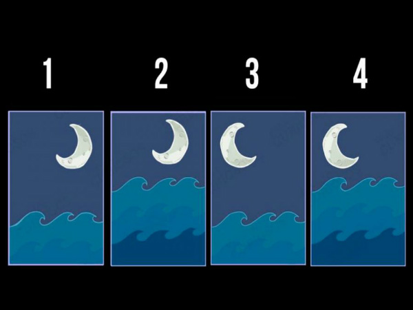 personality test personality test