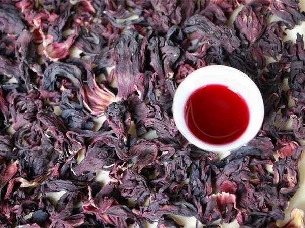 hibiscus hair oil recipes