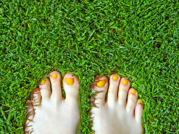 They’re Good For The Planet: 