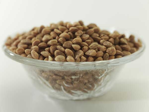 body polishing at home