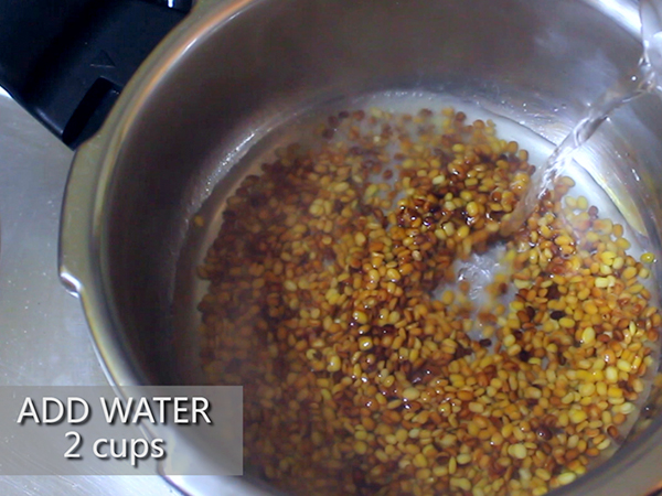 moong dal payasam recipe