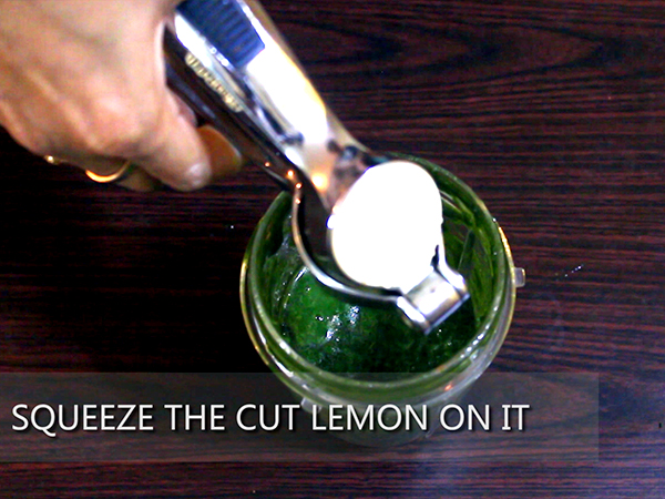 phalahari green chutney recipe