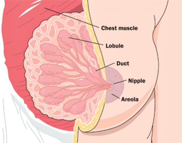 breastfeeding problems