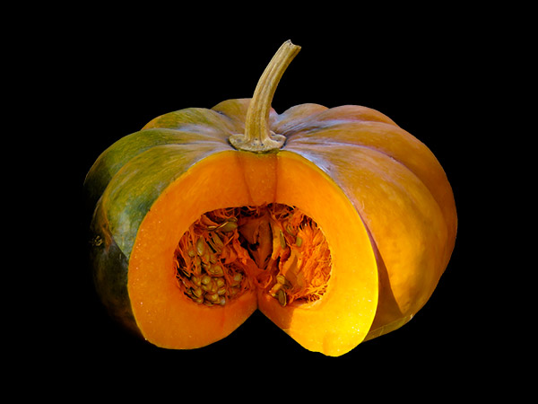 Pumpkin, Honey + Milk