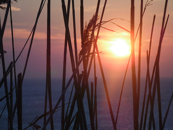 France Heat Wave 2003