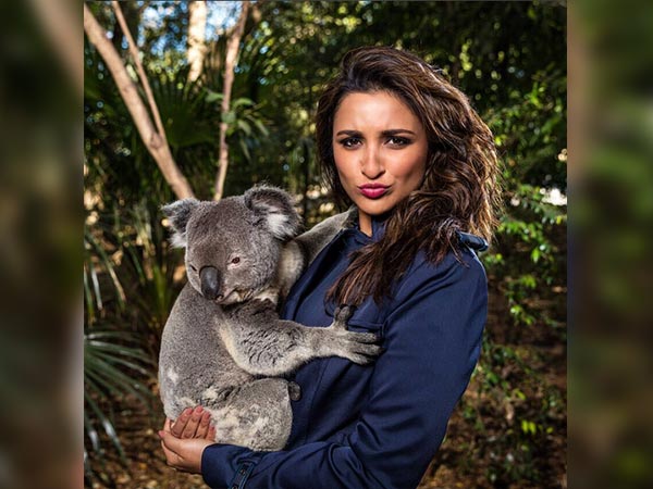parineeti chopra australia ambassador