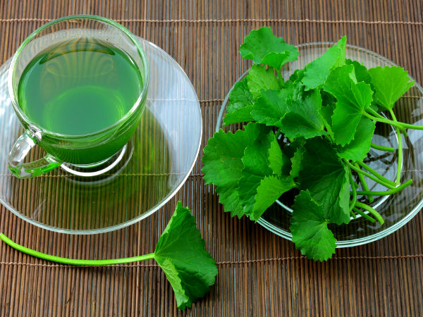 natural remedy for UTI