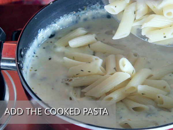 white sauce pasta recipe