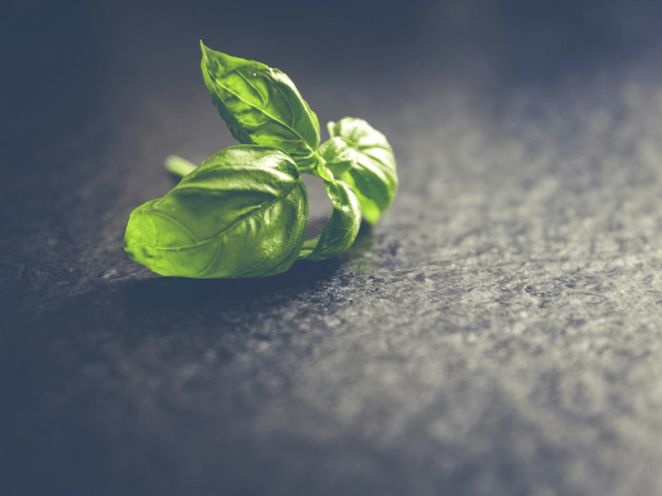 3. Basil Leaves