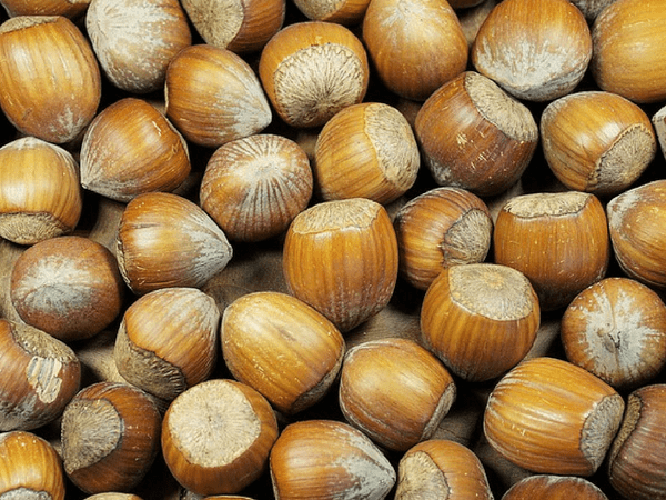 8. Hazelnuts
