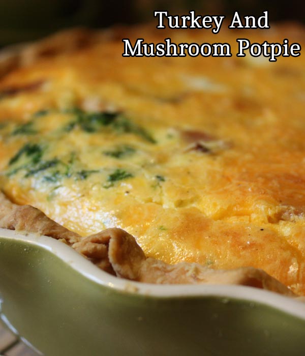 Turkey and mushroom potpie recipe