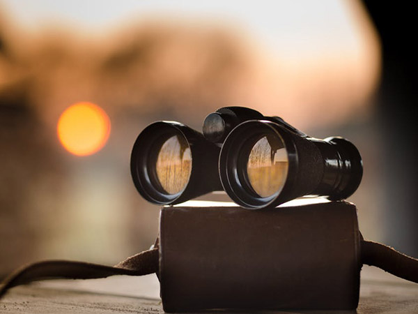 The Technical Factor