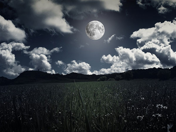 For Viewers In New York City