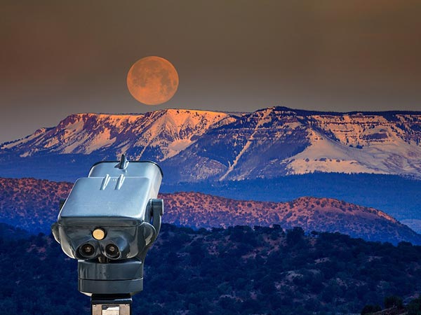 The Highlight Of The Evening Would Be