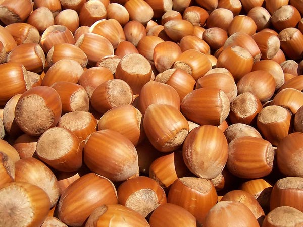 4. Hazelnuts