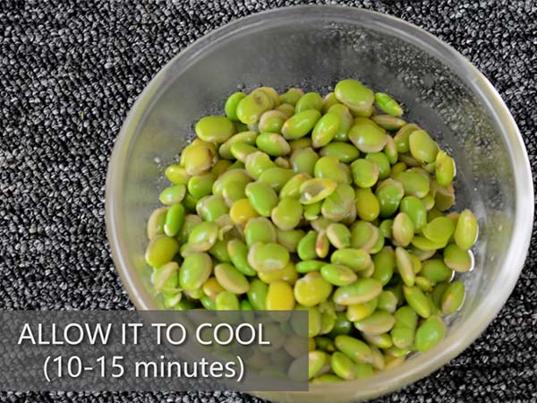 Easy Avarekalu Saru Recipe