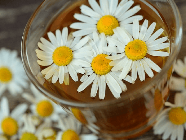 8. Chamomile Tea