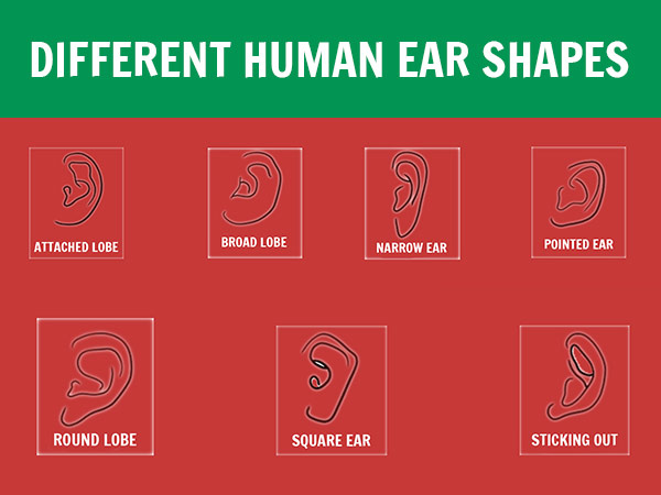 personality revelations personality revelations