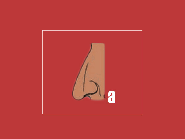 If Your Nose Shape Resembles “A”