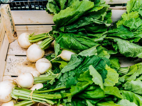 fatty liver grade 1 diet fatty liver grade 1 diet