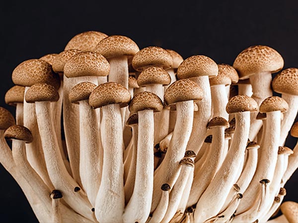 eggs and mushrooms healthy