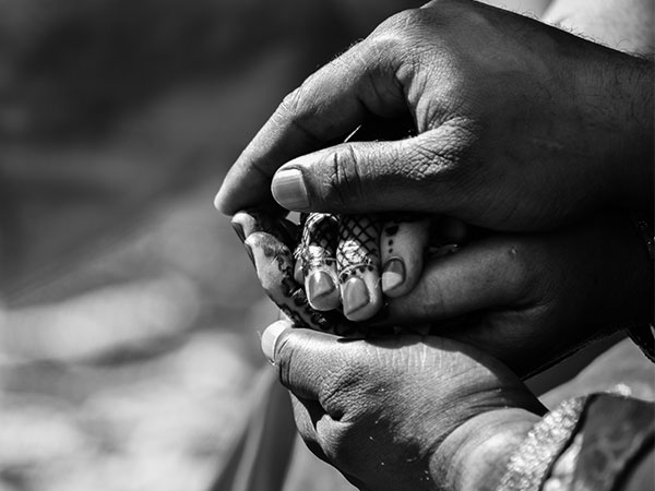 factors that build trust