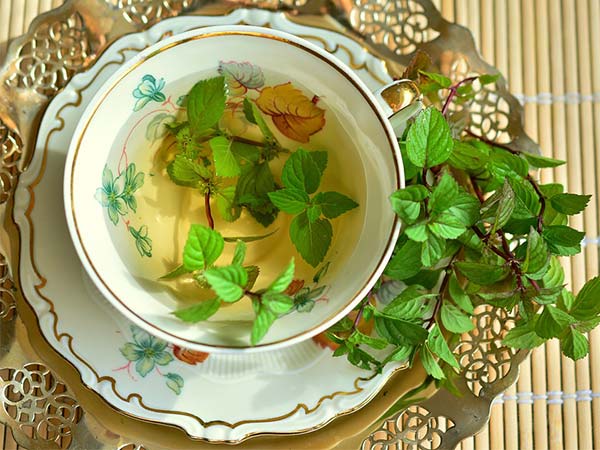 green tea health benefits