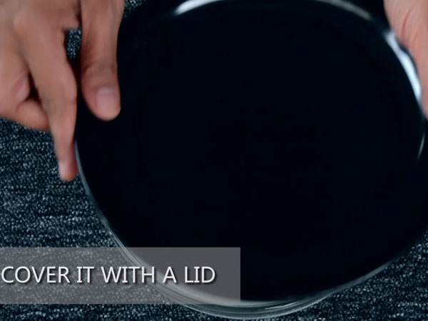 Vegetable Dosa recipe Vegetable Dosa recipe