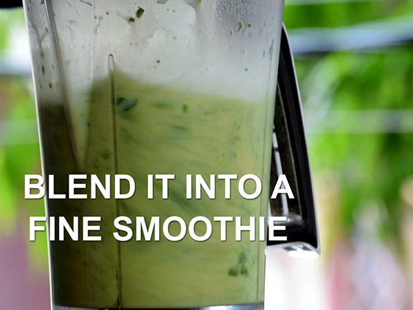 Green smoothie recipe