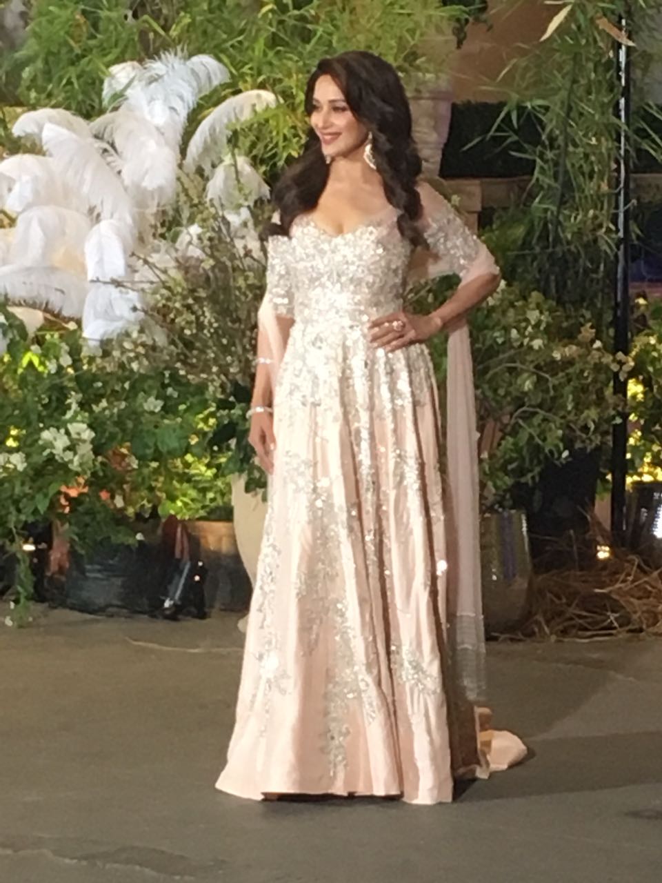 Sonam Kapoor wedding