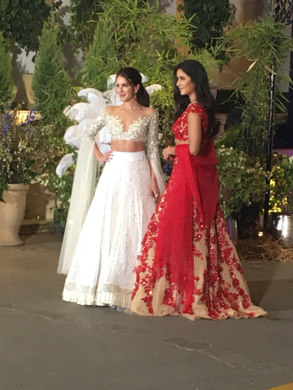 Sonam Kapoor wedding