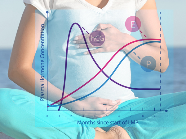 things you dint know about pregnancy hormones things you dint know about pregnancy hormones