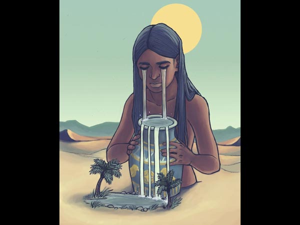 Zodiac Signs illustrations