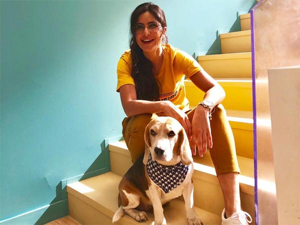 Katrina Kaif birthday