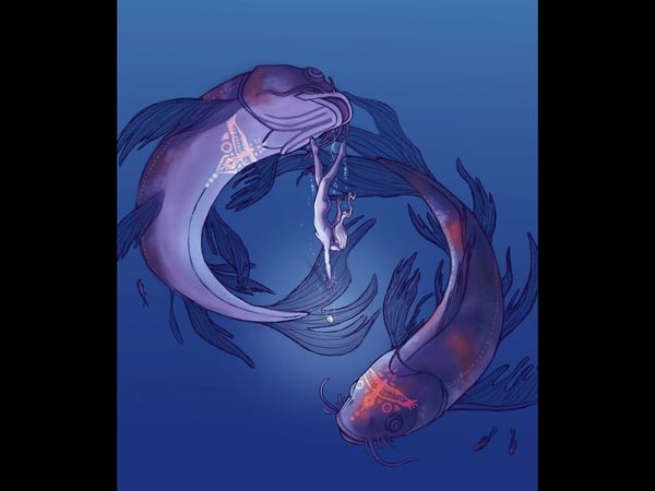 Zodiac Signs illustrations