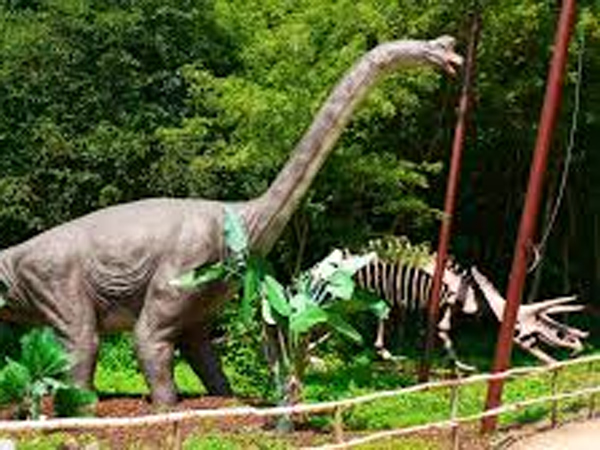 If Your Choice Is Brachiosaurus