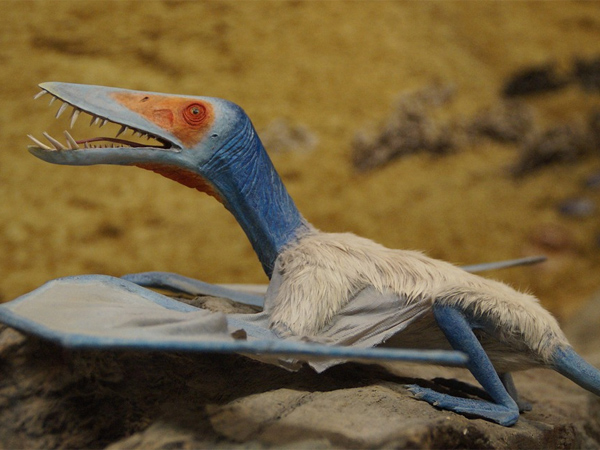 If Your Choice Is Pterodactyl 