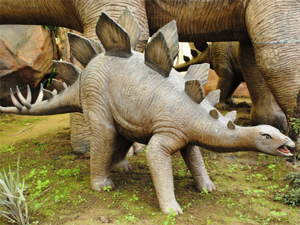 If Your Choice Is Stegosaurus