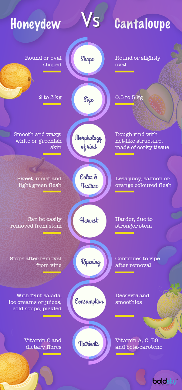 Honeydew Vs Cantaloupe