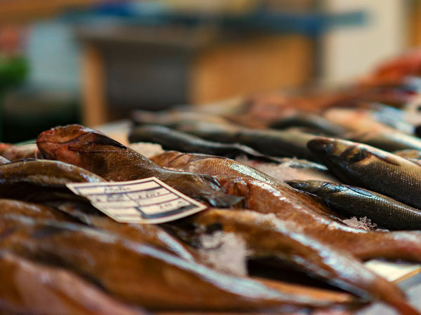 The Reactions Of The Netizens