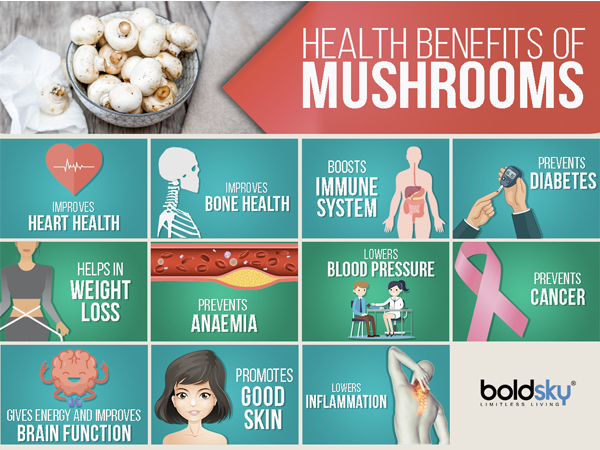 11 Health Benefits Of Mushrooms 11 Health Benefits Of Mushrooms