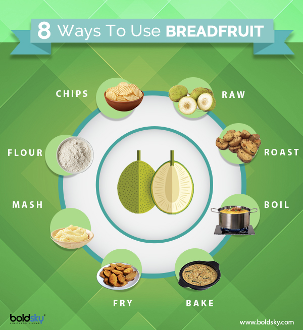 Breadfruit : Info- graphics 